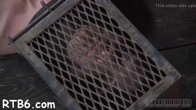 Alluring slaves are made to undress inside a diminutive cage